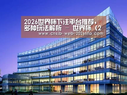 案例展示五