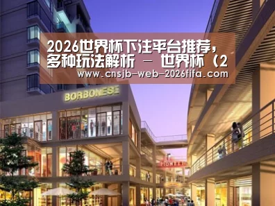 案例展示一