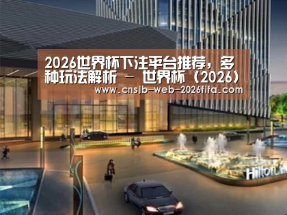 案例展示二