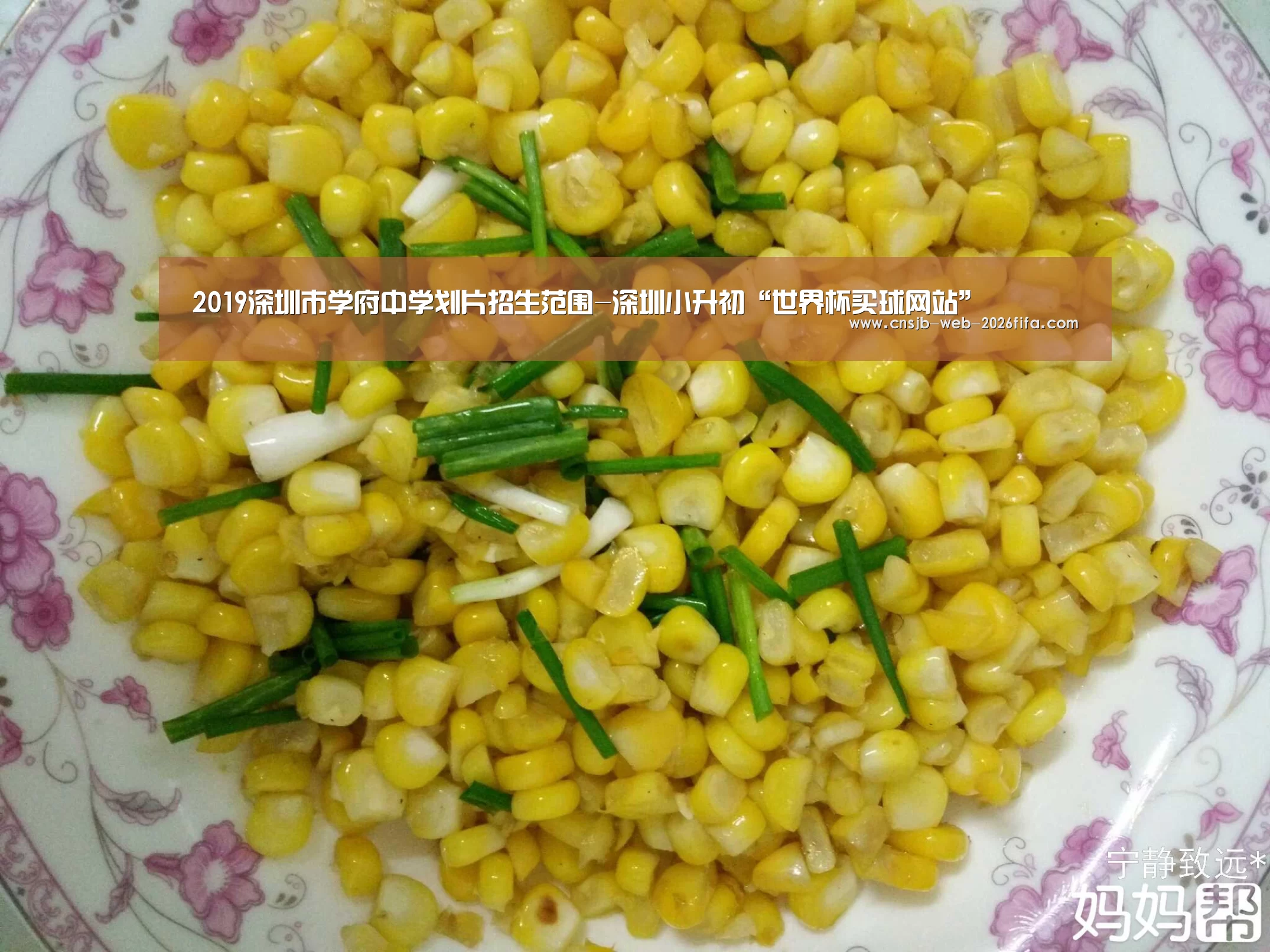 2019深圳市学府中学划片招生范围-深圳小升初“世界杯买球网站”(图1) 世界杯投注