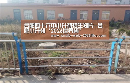 合肥四十六中小升初招生划片-合肥小升初‘2026世界杯’(图3) 2026世界杯