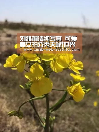 刘雅桐清纯写真 可爱美女拍戏秀天赋|世界杯投注(图3) 2026世界杯