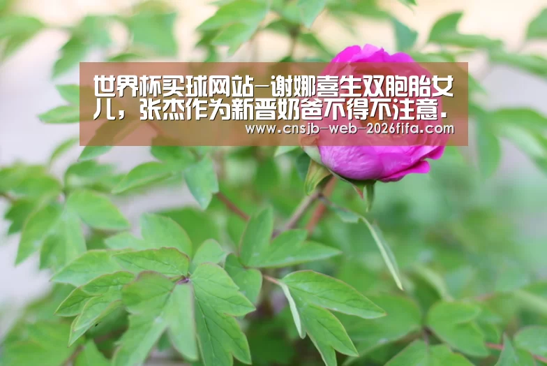 世界杯买球网站-谢娜喜生双胞胎女儿,张杰作为新晋奶爸不得不注意...(图1) 世界杯外围买球